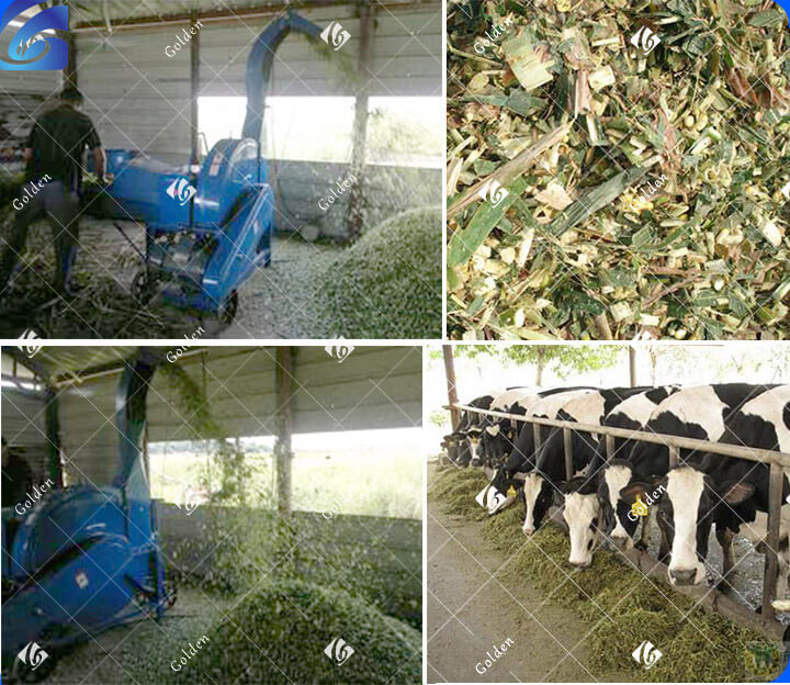 Chaff Cutter, Forage/Silage Chopper & Cutter for Feed Processing