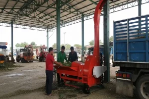 Four men operate a red chaff cutter machine processing crops beside a blue truck.