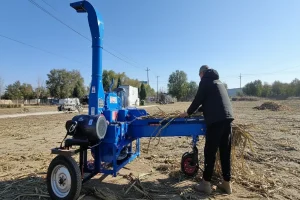 Farmer operating a blue chaff cutter machine in an open agricultural field outdoors.