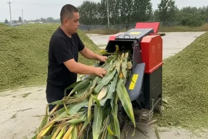 Man operating corn fodder chopper machine