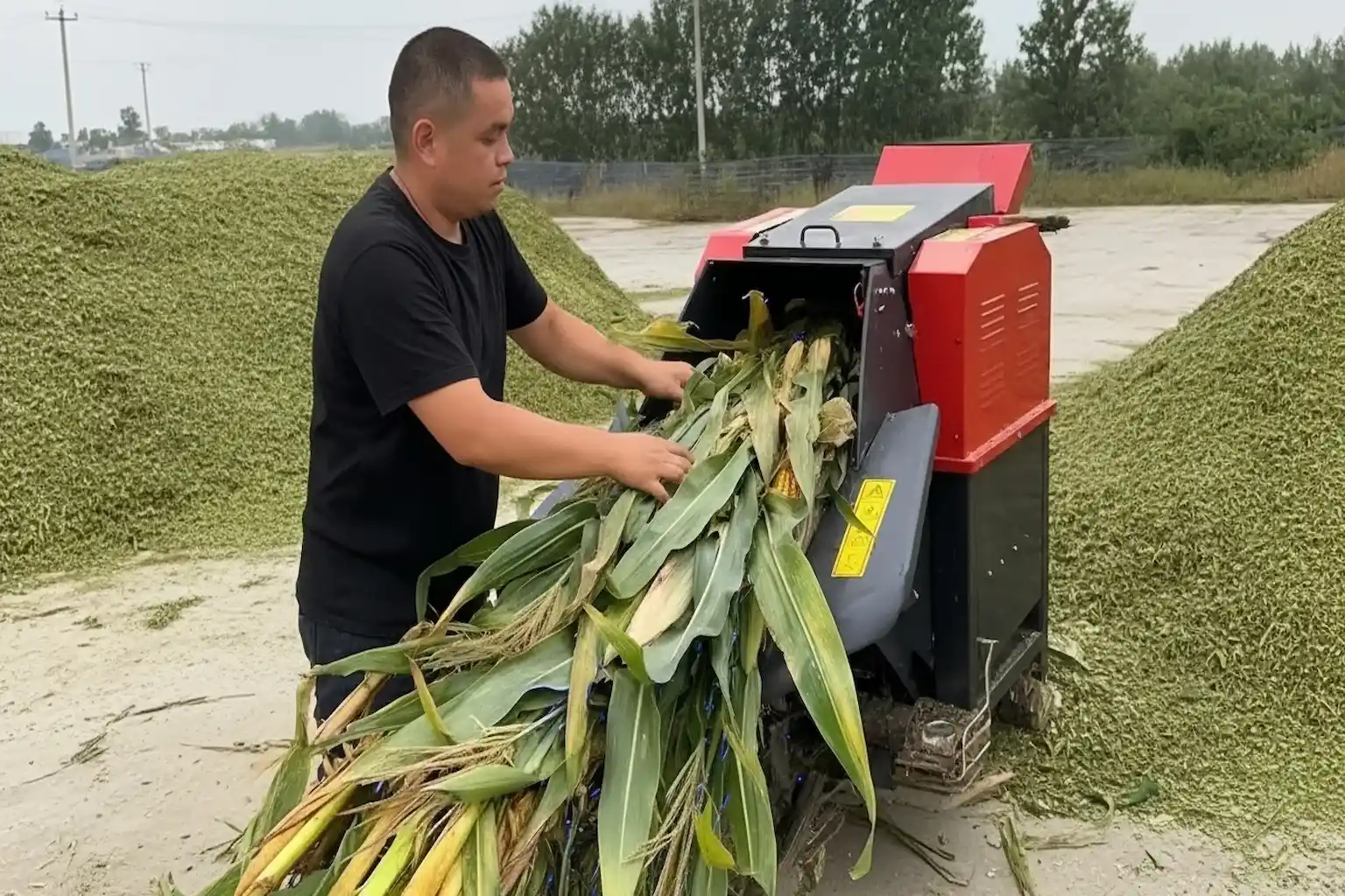 Man operating corn fodder chopper machine