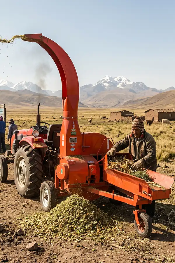 Large scale cattle ranch using PTO driven chaff cutter in Peru