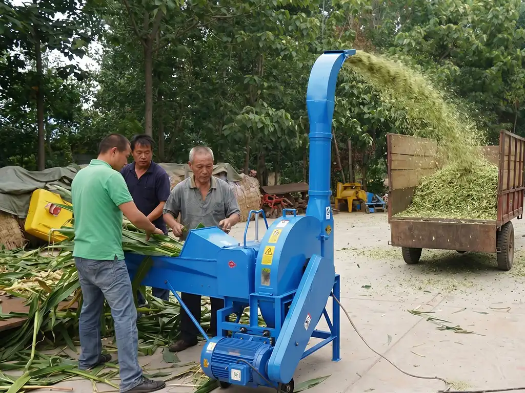 Heavy-duty commercial electric chaff cutter machine operating in cattle ranch processing fresh silage feed
