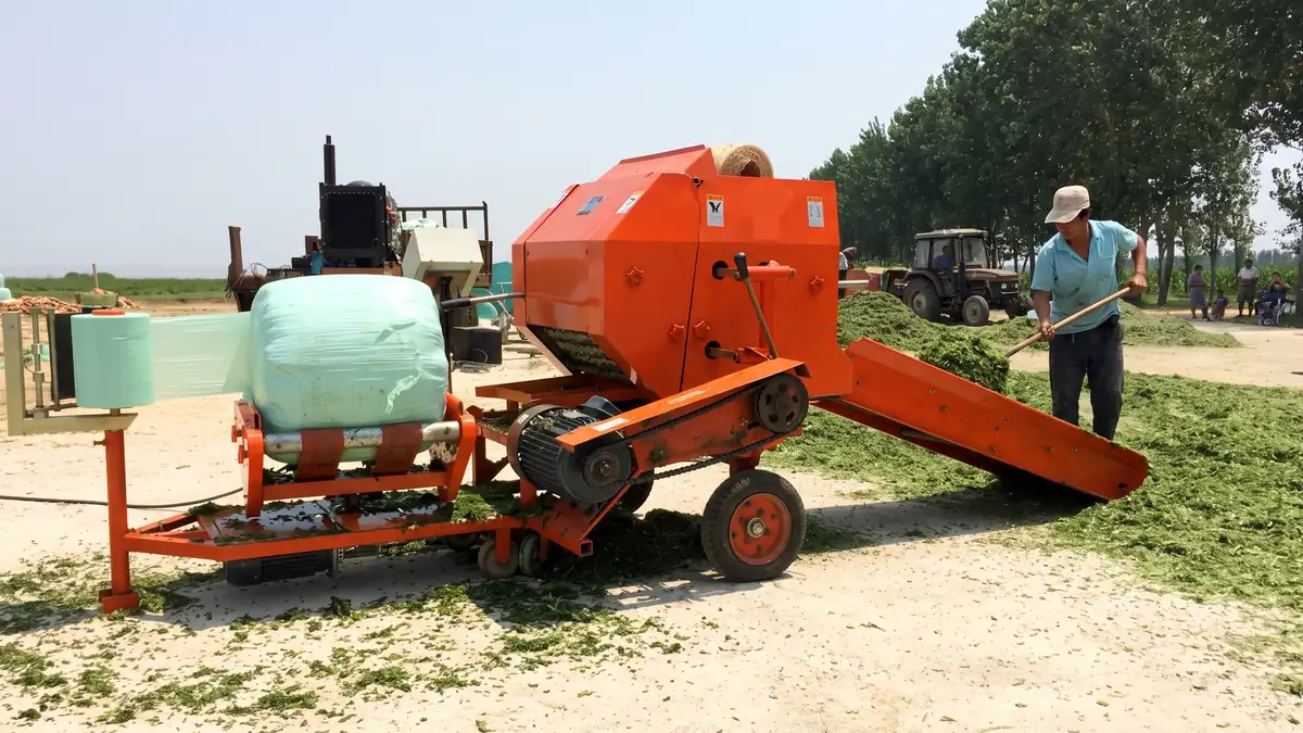Worker shovelling chopped green forage onto the feed conveyor of a diesel-powered FC-585 silage baler while a wrapped bale sits on the wrapping table