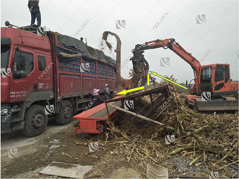 Grab feeding corn stalks into a Golden Machinery chaff cutter that blows chopped forage into a truck