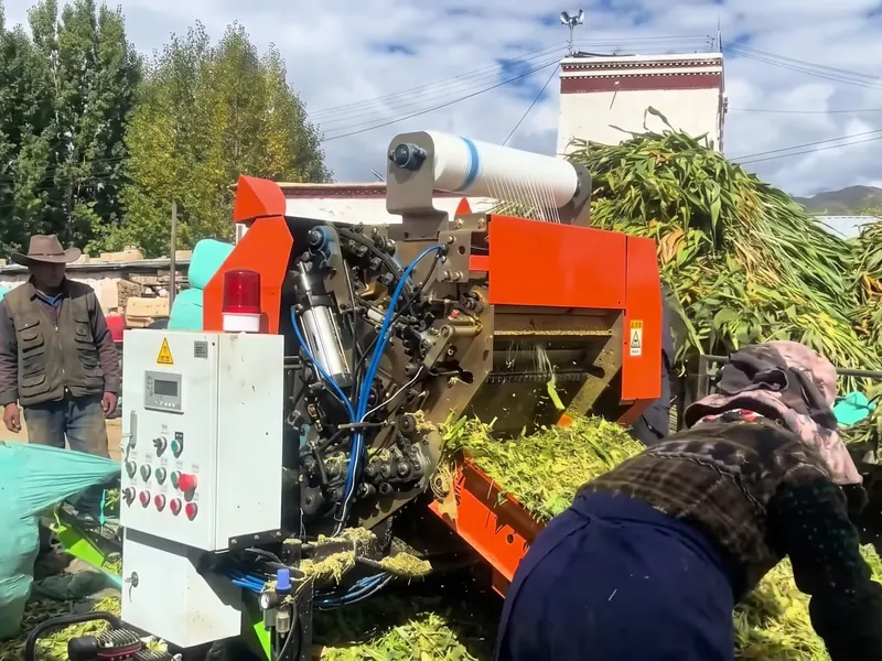 Cooperative members feeding fresh chopped corn into an FC-585 silage baler, with wrapped bales stacked behind