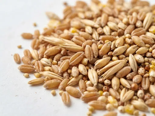 Dry wheat grains for grinding into livestock and poultry feed